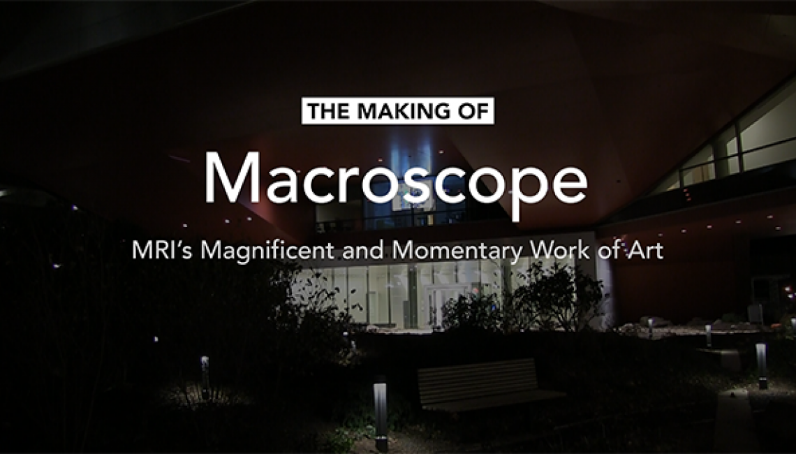 Macroscope Introduction