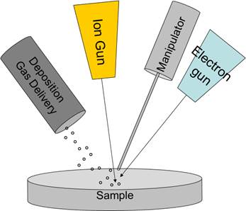 Diagram of FIB