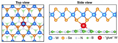 Ball and stick model showing a W atom 'gluing' the 2D layer to the substrate