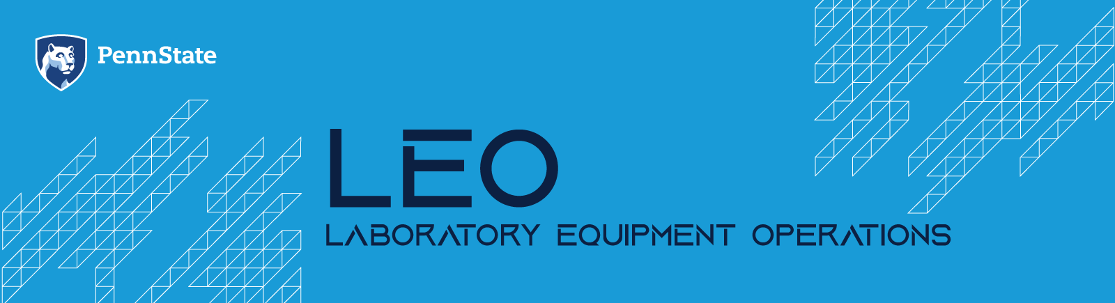 LEO Wordmark