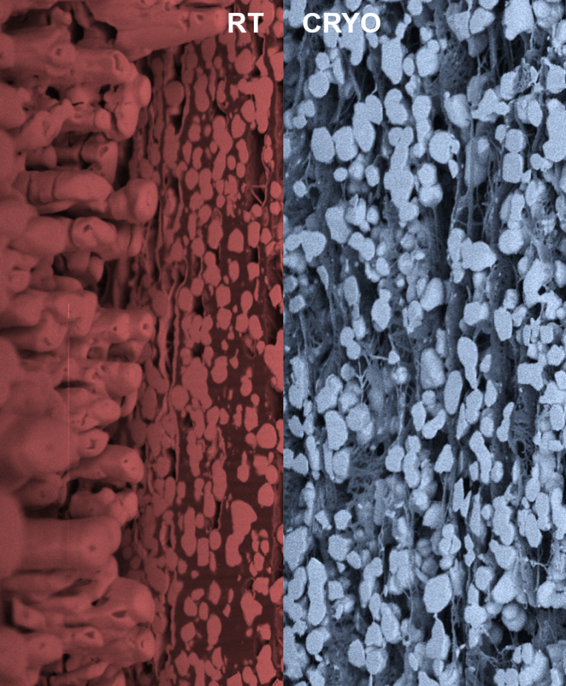 Laminated polymer matrix