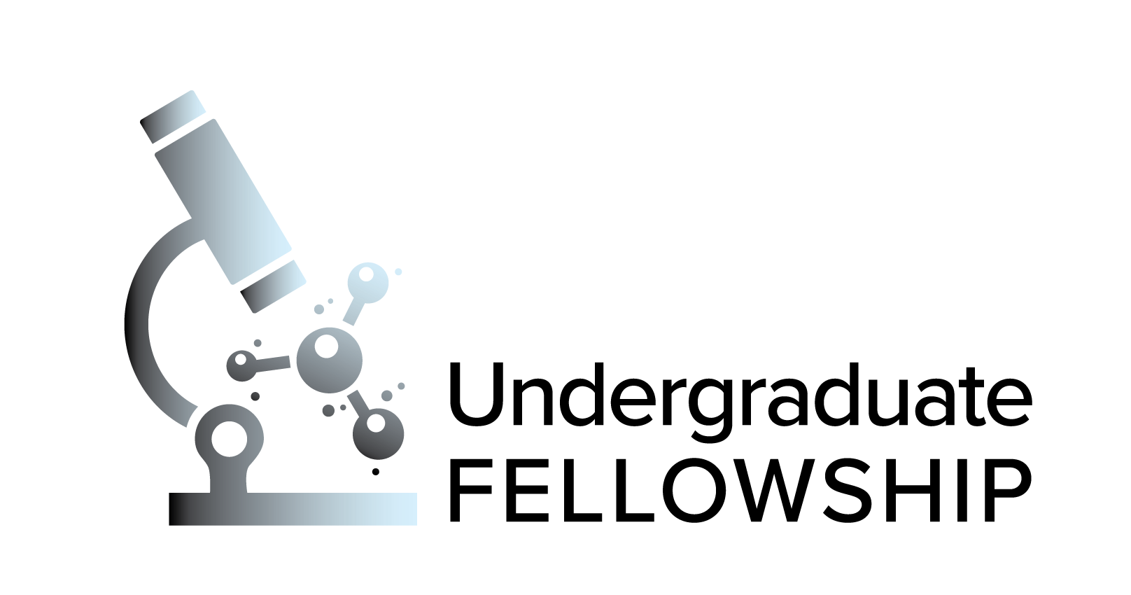 MRI's Undergraduate Fellowship Program