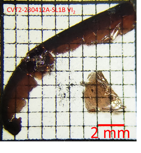 VI2 VI2 is a layered single crystal. It is highly sensitive to air.