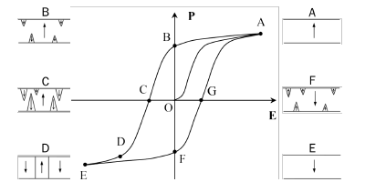 EDS Figure