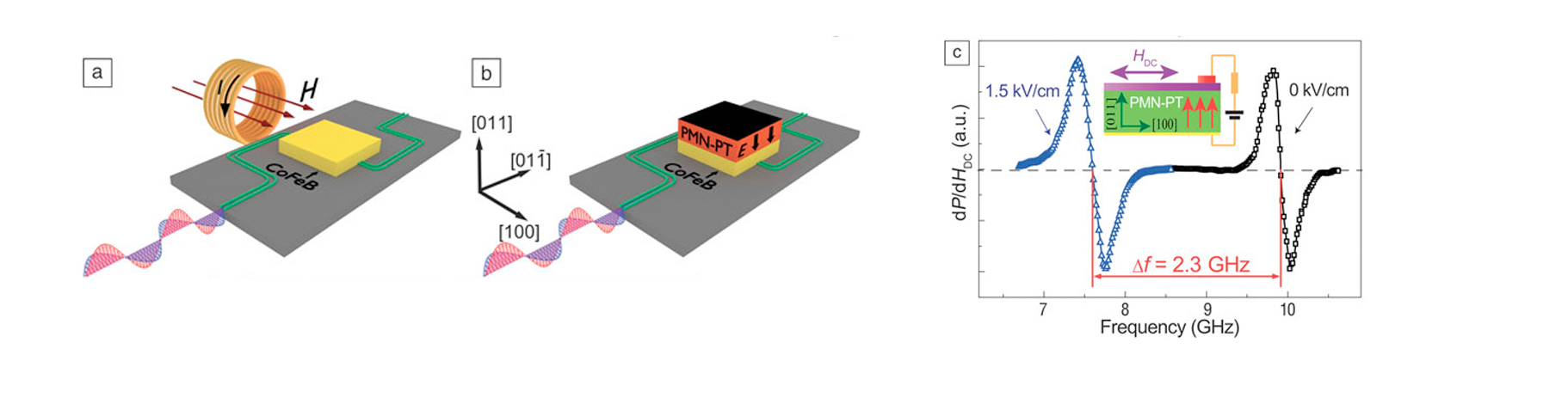 MRS Bulletin Multiferroic