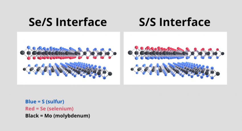 side-by-side 2d scientific illustrations