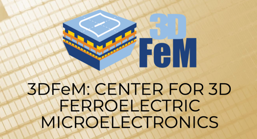 Center for 3DFeM