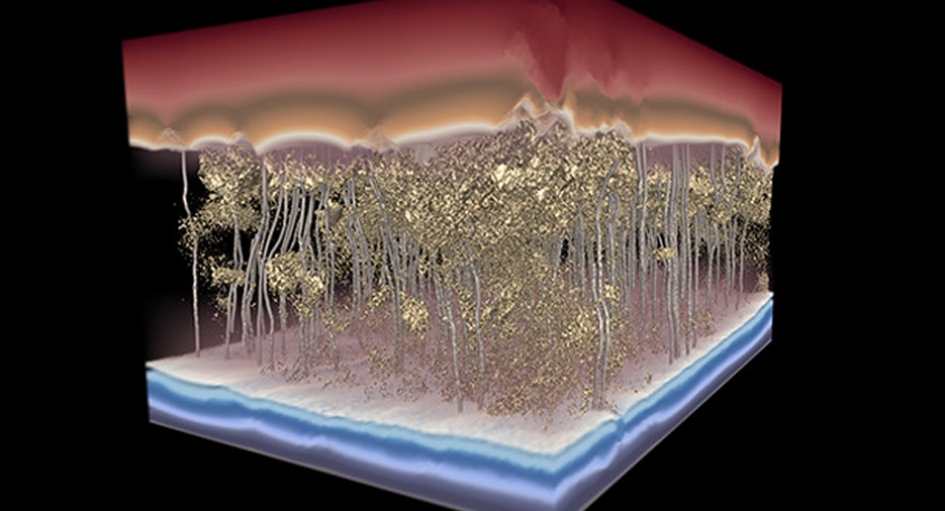 Filtration Membrane