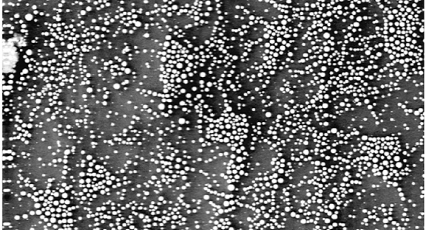 Secondary electron image of gallium oxide particles on a silicon carbide substrate. Scanning Auger Microscope