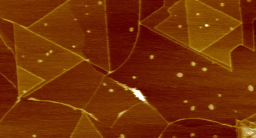 AFM 3D topographic image