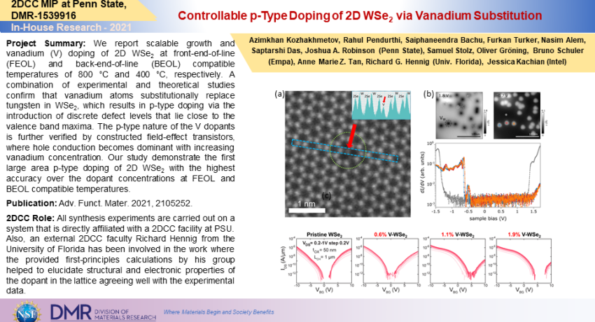 Controllable p-Type Doping of 2D WSe2 via Vanadium Substitution