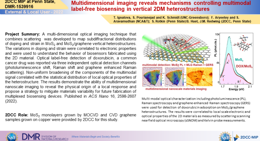 Multidimensional imaging reveals mechanisms controlling multimodal label-free biosensing in vertical 2DM heterostructures