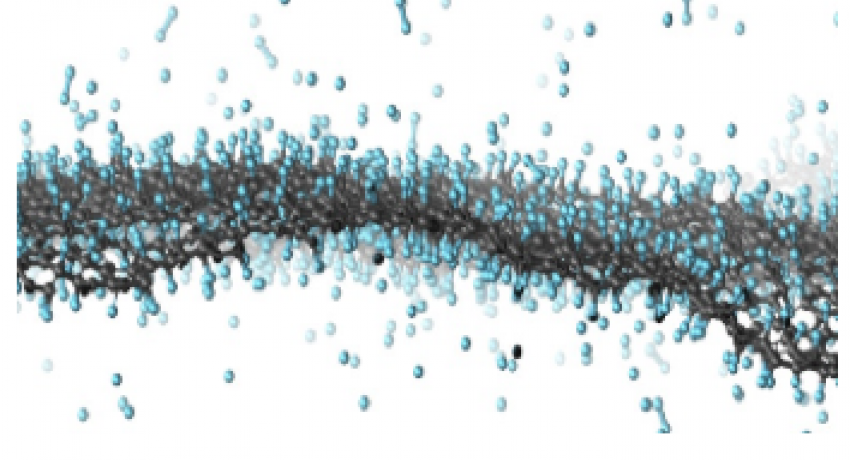 Advanced Characterization and Modelling (AdvCM)