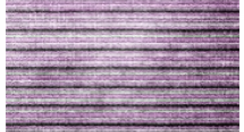 Epitaxy of 2D Chalcogenides (Epi2DC)