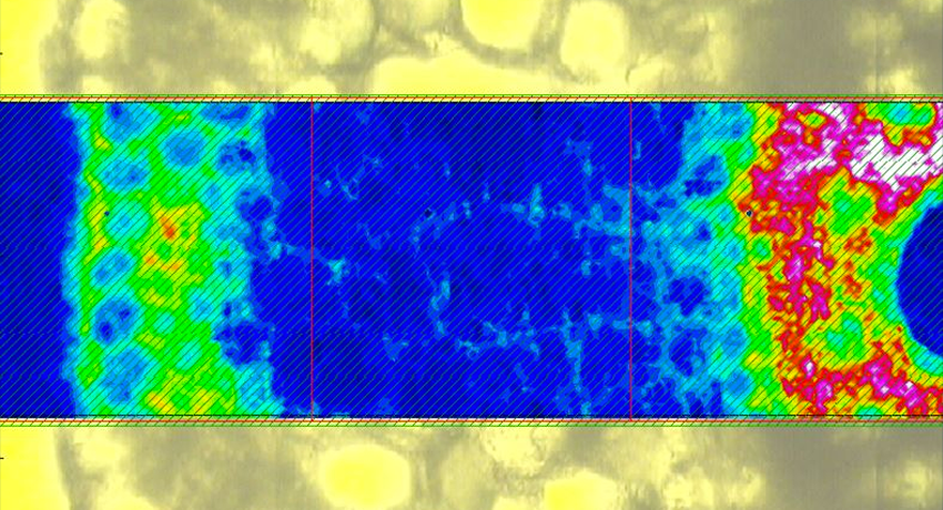 Micro-transmission Infrared map of lignin in a section of a plant root FTIR - Infrared Spectroscopy