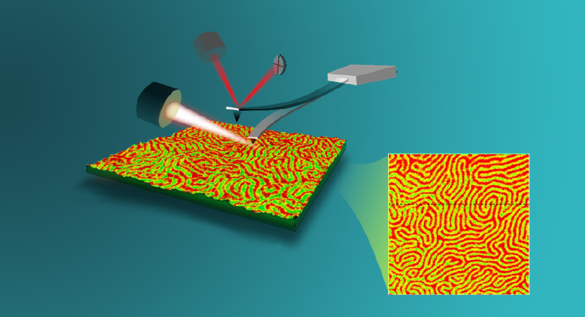 Nanoscale Infrared Spectroscopy