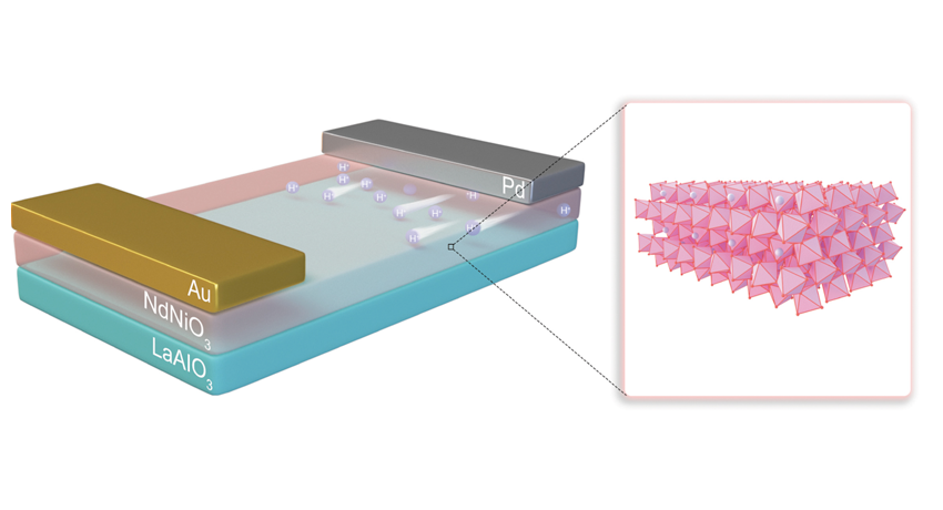 Reconfigurable Neuromorphic Functions