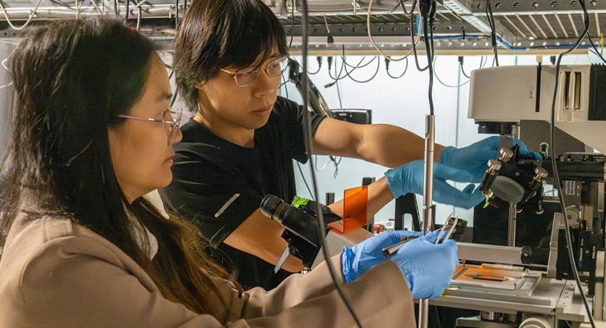 Xing Jieni researchers