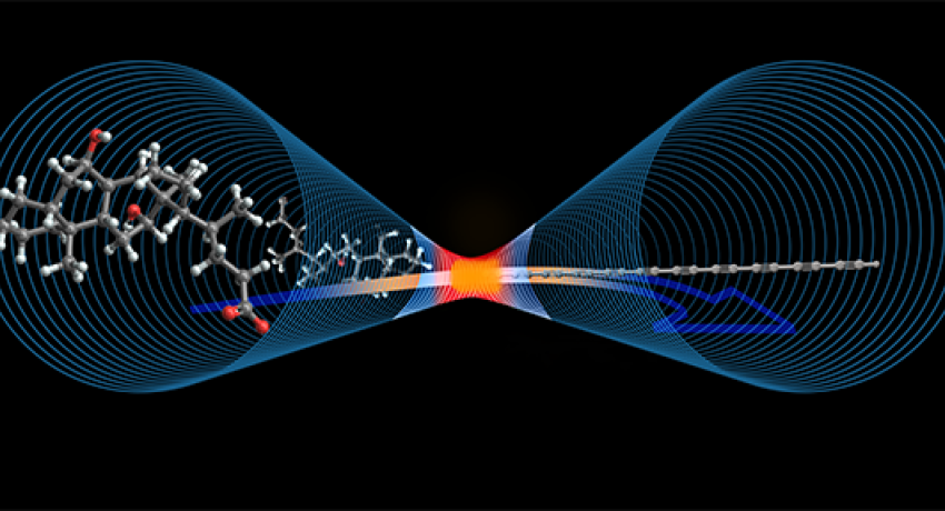artistic illustration of this research