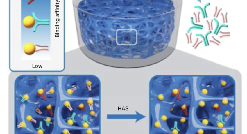 Figure of hydrogel for aptamer selection