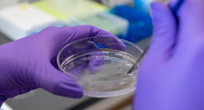 Image of hands holding sample in the lab