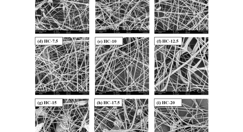 Variations of fibers seen through microscopy