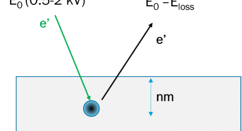 REELS Figure 1