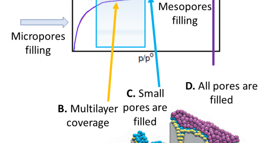 gas adsorption