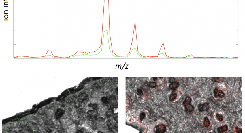 Ion images