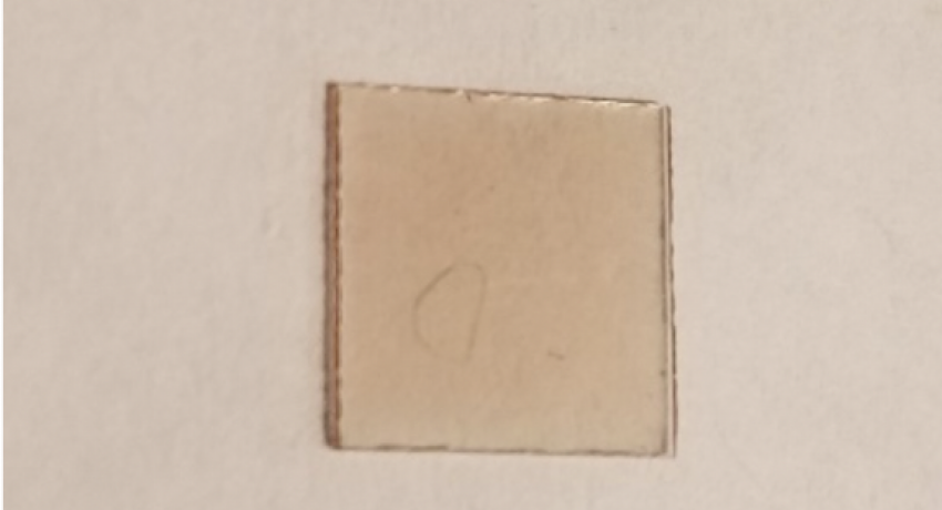 Monolayer