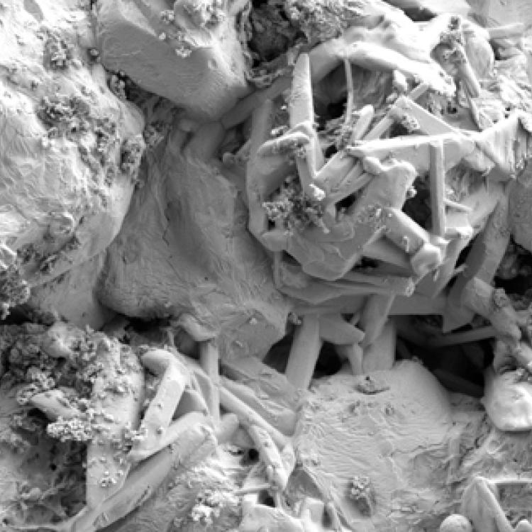 Materials characterization SEM image