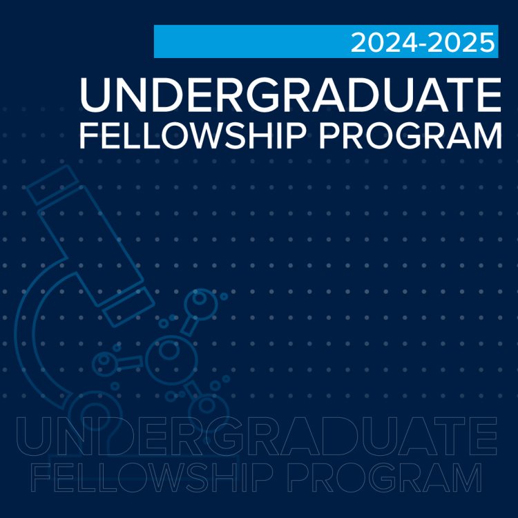 Undergrad Fellowship Icon