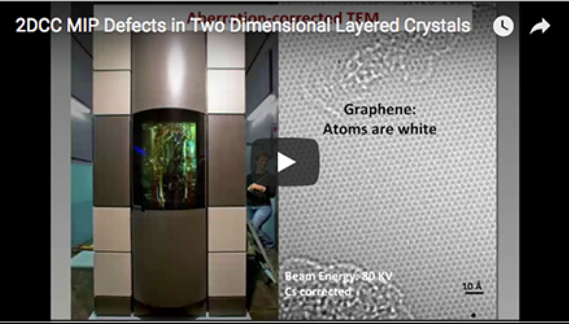 Defects in Two Dimensional Layered Crystals